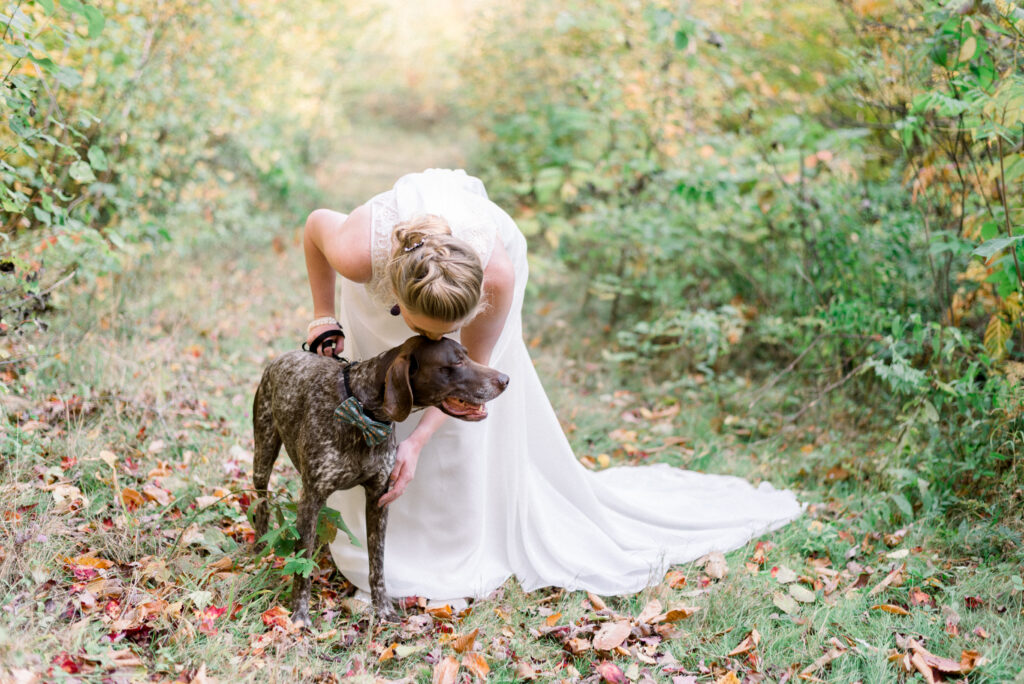 A bride in a wedding gown standing in a wooded area in Maine, bending down to kiss her German Shorthaired Pointer dog on the head.