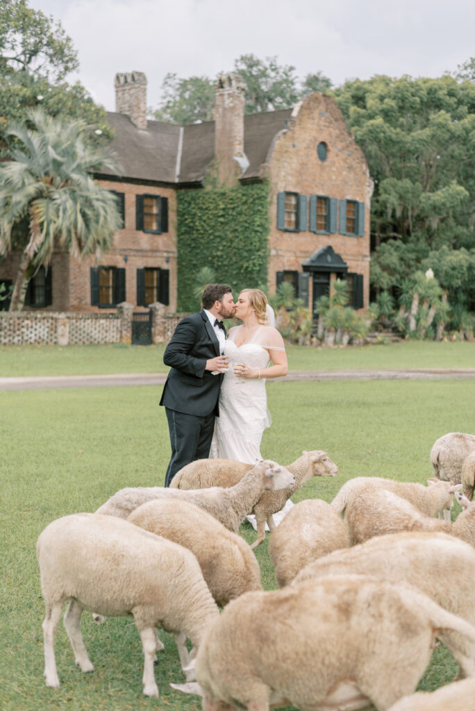 bride and groom share a kiss among the sheep at Middleton Place