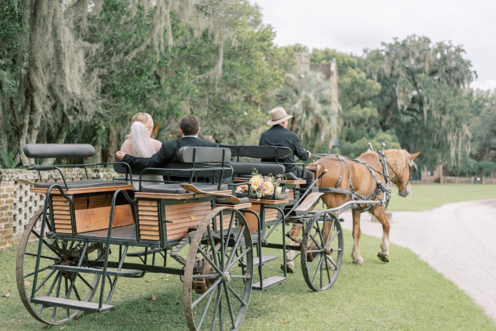 Bride and groom in horse drawn carriage ride around Middleton Place 