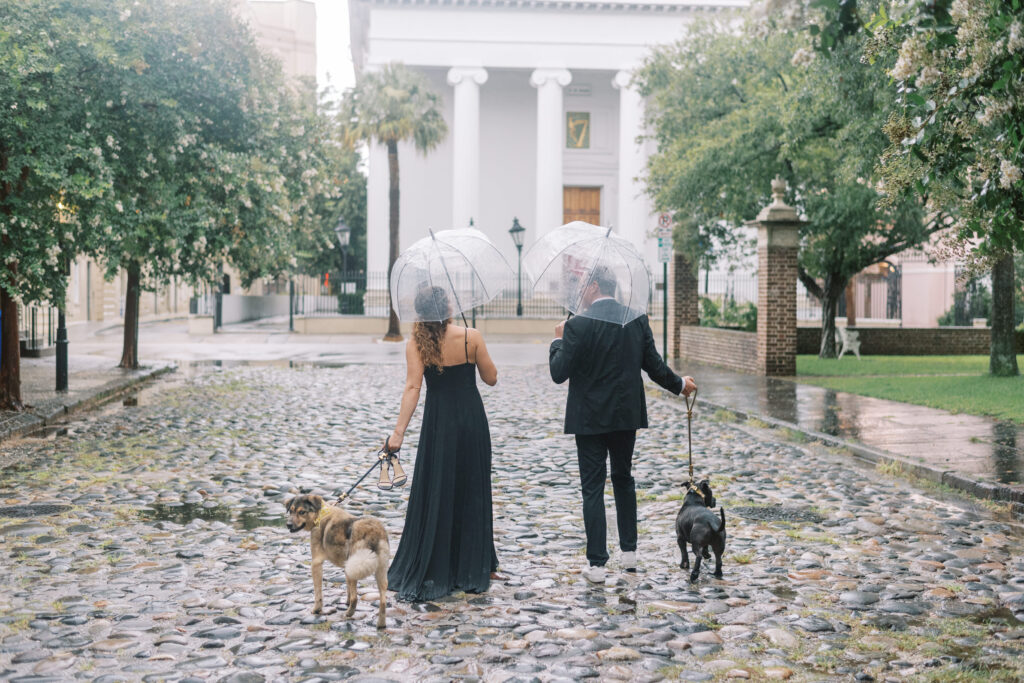 Couple walk in a cobblestone street in Charleston with umbrellas and their dogs during engagement photos