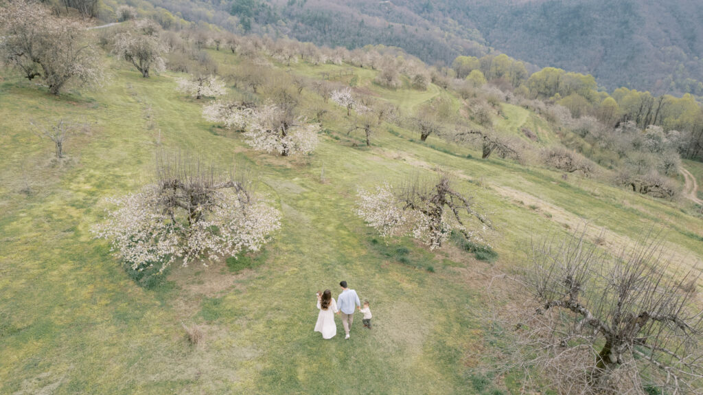 drone family portraits