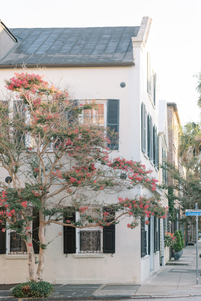 Vacation Photographer in Charleston, SC