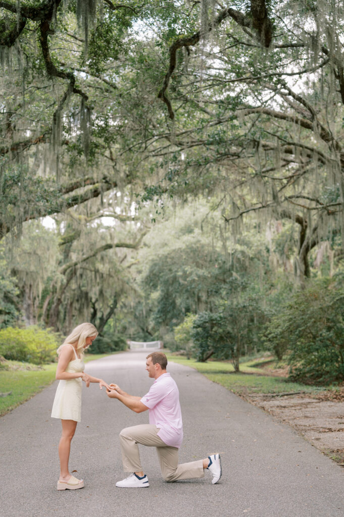 courtyard proposal at Magnolia