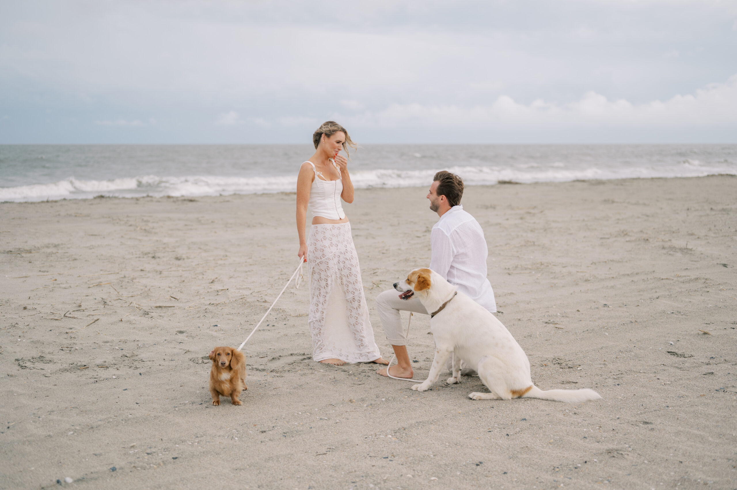 man proposing on the beach with dogs